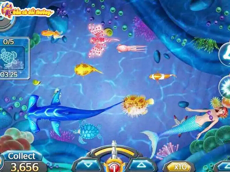 Chiến thuật bắn rỉa